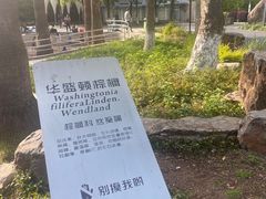 -苏州河梦清园环保主题公园