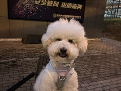 -联合动物医院(光谷诊疗中心)