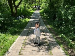 -青龙山国家森林公园