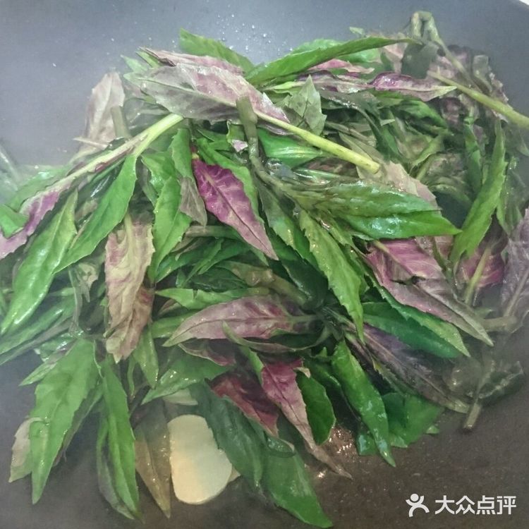 🔥清肠能手🔥清炒观音菜❗️快手无难度