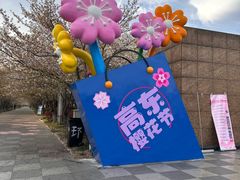 -高东镇樱花园