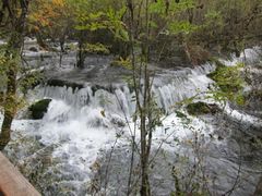 -九寨沟-树正沟