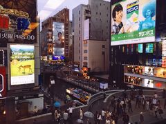 -蟹道乐(道顿堀本店)