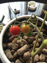 -周忆刺青原创设计定制