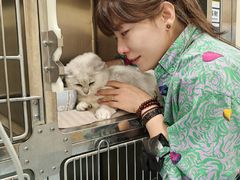 -萌兽医馆·犬猫专科·眼科中心·宠物医院(朝阳门分院)