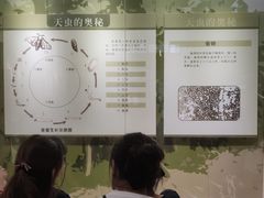 -杭州西湖丝绸文化博物馆