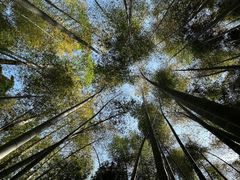 -同里国家湿地公园