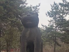 -沈阳市东陵公园