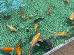 -金河半岛园林酒家(金融城店)