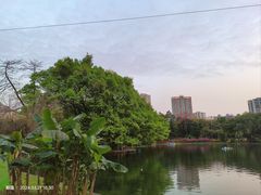 -晓港公园