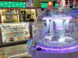 -卡通尼乐园(新达汇三林店)