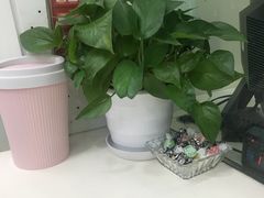 -招商银行(北京常营支行)