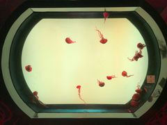 -沈阳海洋探索中心