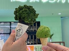 -鹤茶野所(上海首店)