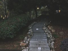 -三江森林温泉度假区