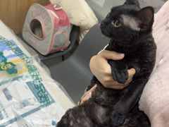 -瑞派宠物医院·24h·骨外科·皮肤科·全科宠物医疗转诊中心(沈阳浑南院)