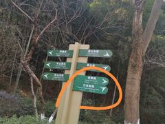 -杭州半山国家森林公园