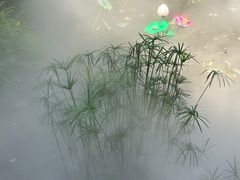 -大妙火锅·非物质文化遗产(东湖公园店)