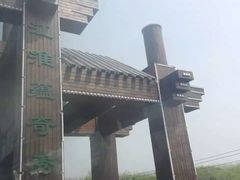 -溱湖国家湿地公园