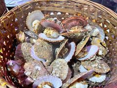 高压锅扇贝-蚝堡海鲜·威海菜·海肠捞饭·烧烤·亚洲吃蚝公司(幸福门店)