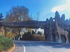 -大连森林动物园