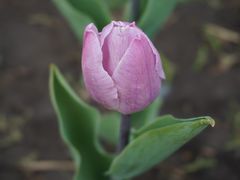 -长春公园(普阳街道)