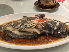 -双井轩(双井店)