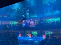 -迪拜水族馆及水下动物园