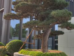 -西安高新洲际酒店•源咖啡全日制餐厅