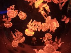 -威海华夏城景区