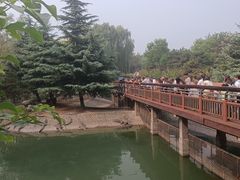 -石家庄市动物园