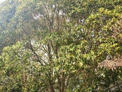 -溪口-滕头旅游景区