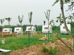 -天津武清北运河郊野公园房车露营地