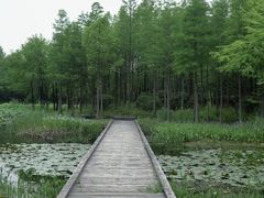 -长广溪湿地公园