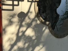 -苏州冶园园林民宿(太湖西山风景区店)