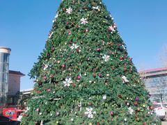 -兴芮温泉度假区