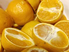 -蒙都43°9羊火锅·赤峰美食(宁城店)