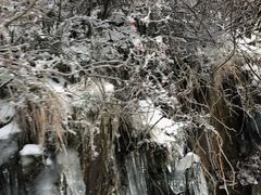-东白山