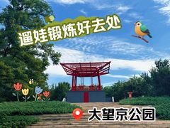 -大望京公园