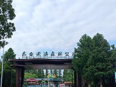 -黄海国家森林公园