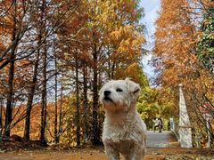 -上海海湾国家森林公园
