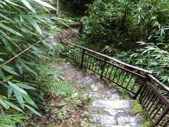 -云南屏边大围山国家公园