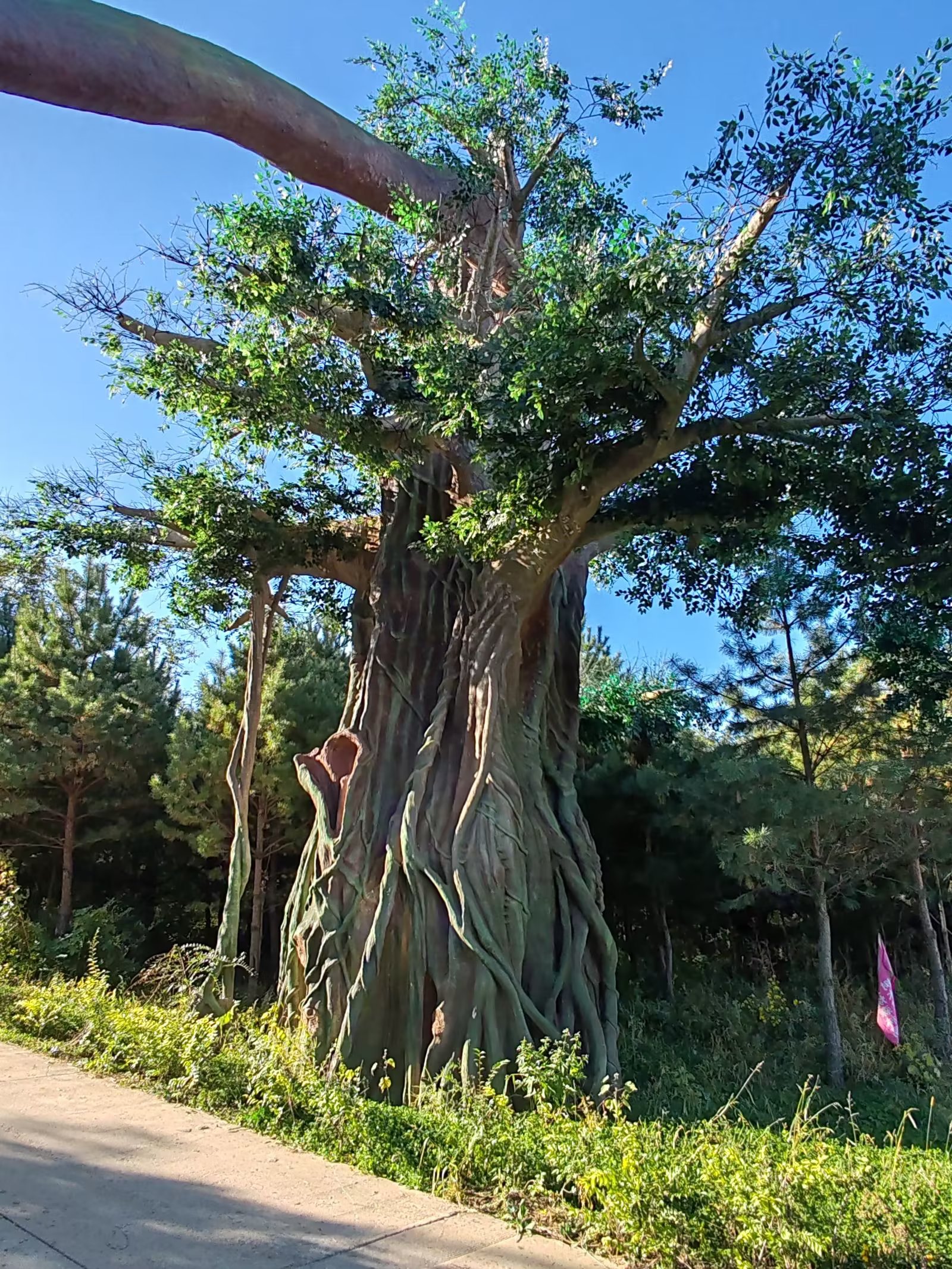 四平山门地质博物馆图片