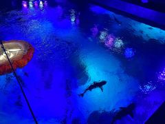 -沈阳海洋探索中心