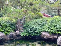-趵突泉景区