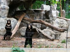 -清迈夜间动物园