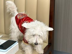 -青岛德国监狱旧址博物馆