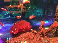 -沈阳海洋探索中心