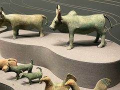 -广西壮族自治区博物馆