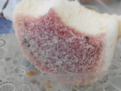 -向阳松鼠(恒大店)